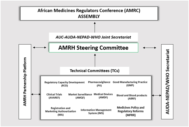 The African Medicines Regulatory Harmonization Governance Framework
